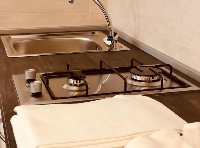 Leonesshouse * レオネッサ